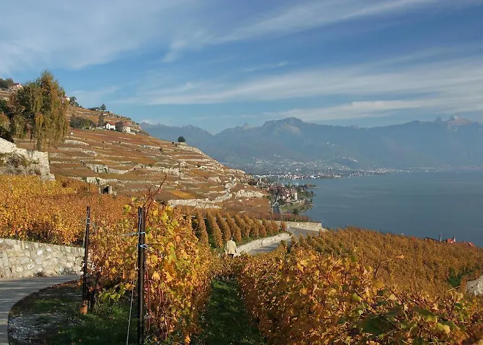 فندق Le Bourg 7 لتري